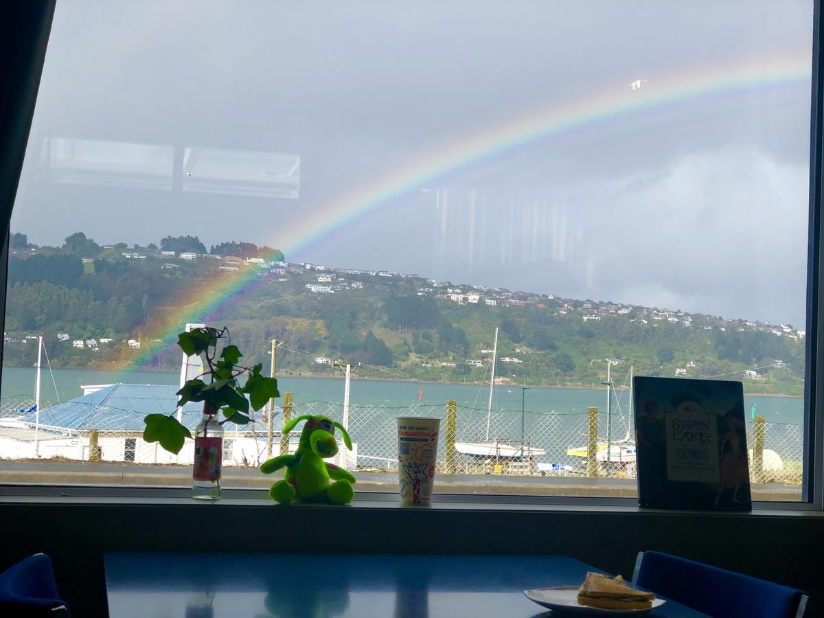 Harbourview Stadium Hotel Dunedin Kültér fotó