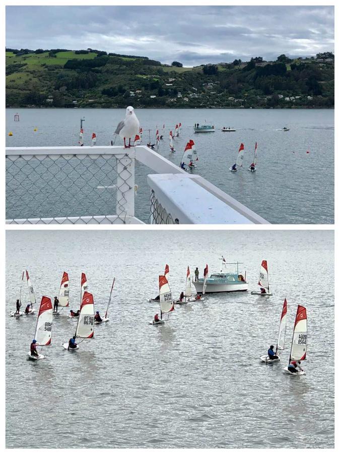 Harbourview Stadium Hotel Dunedin Kültér fotó